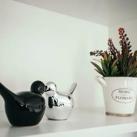 Briana Luxury Apartman Kolozsvár