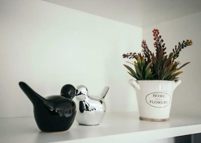 Briana Luxury Appartamento Cluj-Napoca